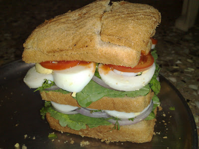 Yummy Egg Sandwich