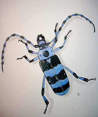 [beetle7.png]