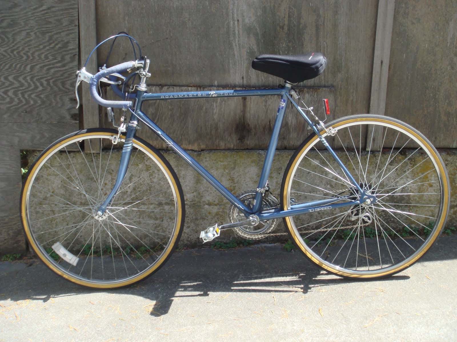 pro tour 10 speed bike