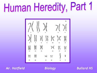 Notes for Human Heredity