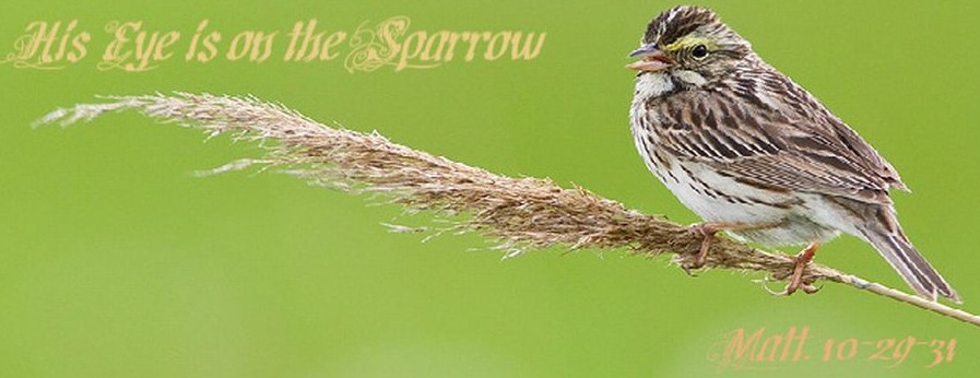 His Eye is on the Sparrow.