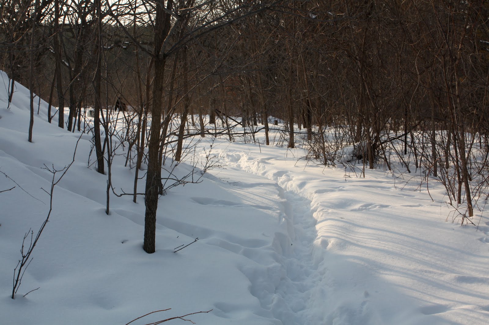 [IMG_9713.JPG]