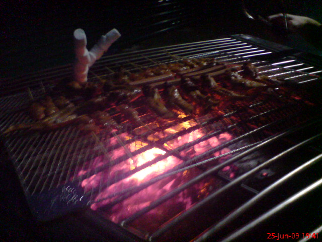 [DSC00298.JPG]