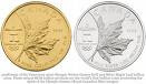 Gold & Silver Bullion Coin
