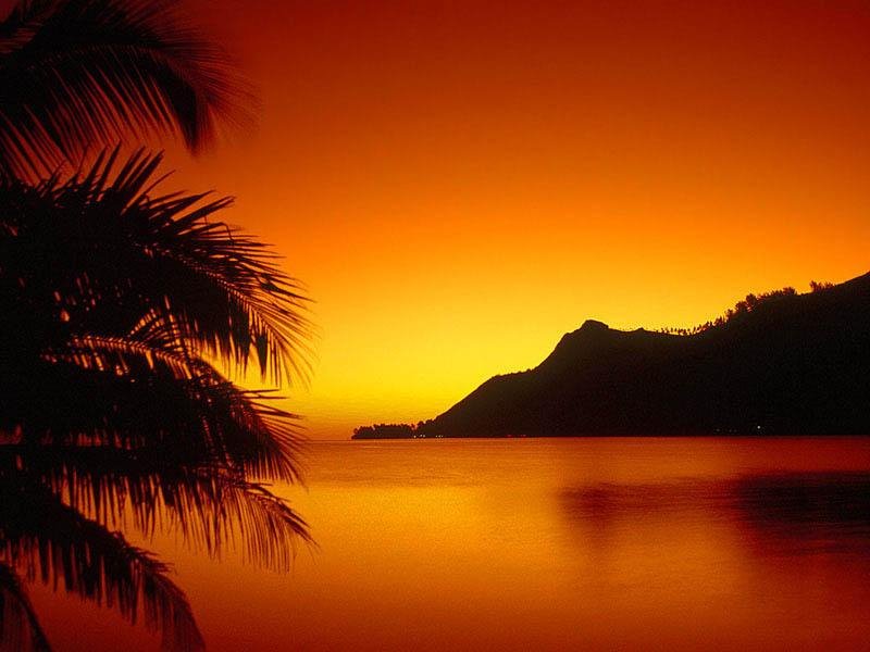 [sunset.bmp]