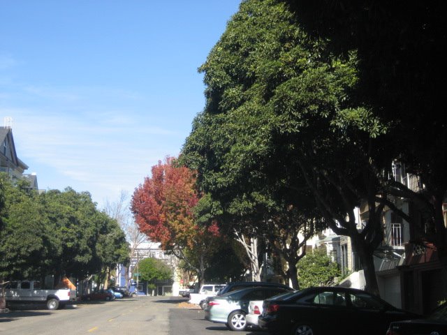 [IMG_7276.JPG]