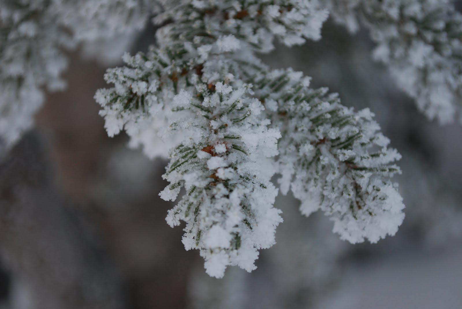 [DSC_0010.JPG]