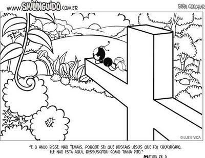 [pascola2.bmp]