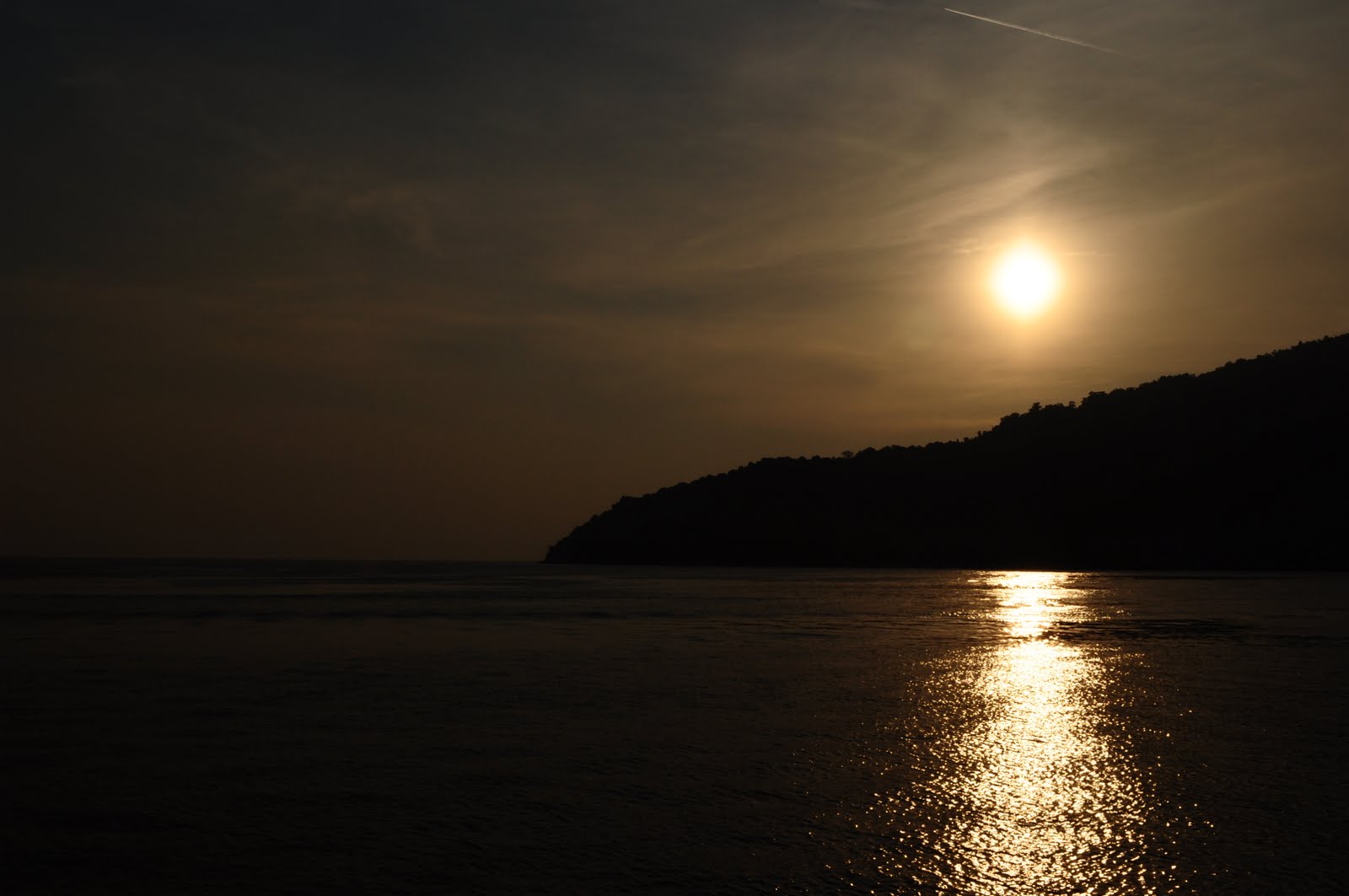[DSC_0174.JPG]