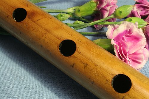 [flute.jpg]