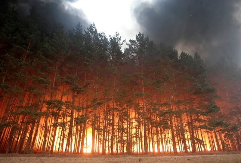 Wit's End Burning Trees