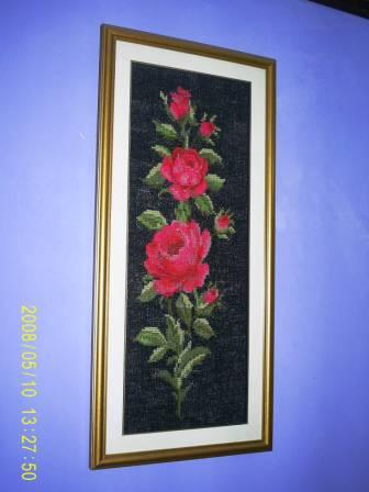 Roses