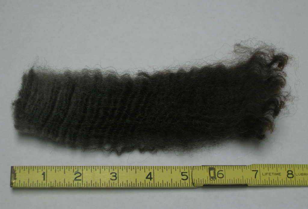 Grace Valley Farms Clarabelle's 2010 Coated Romney Lamb Wool