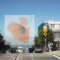 PyWin32とImageMagickで半透明にして重ね合わせた画像