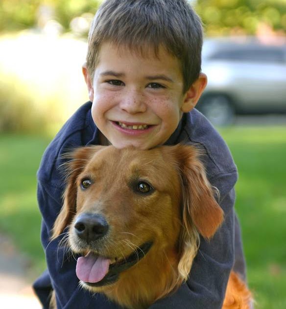 Teach Young Dog No Bark Greeting Teach Young Dog No Bark Greeting