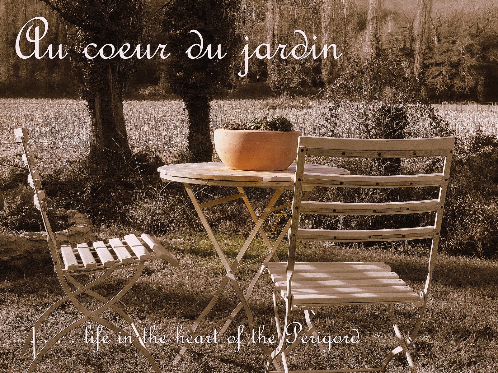 Our French garden in the beautiful Dordogne
