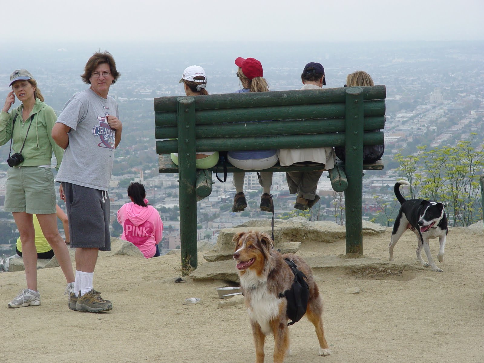 Offleash dog parks in Los Angeles Offer Something for Every Dog