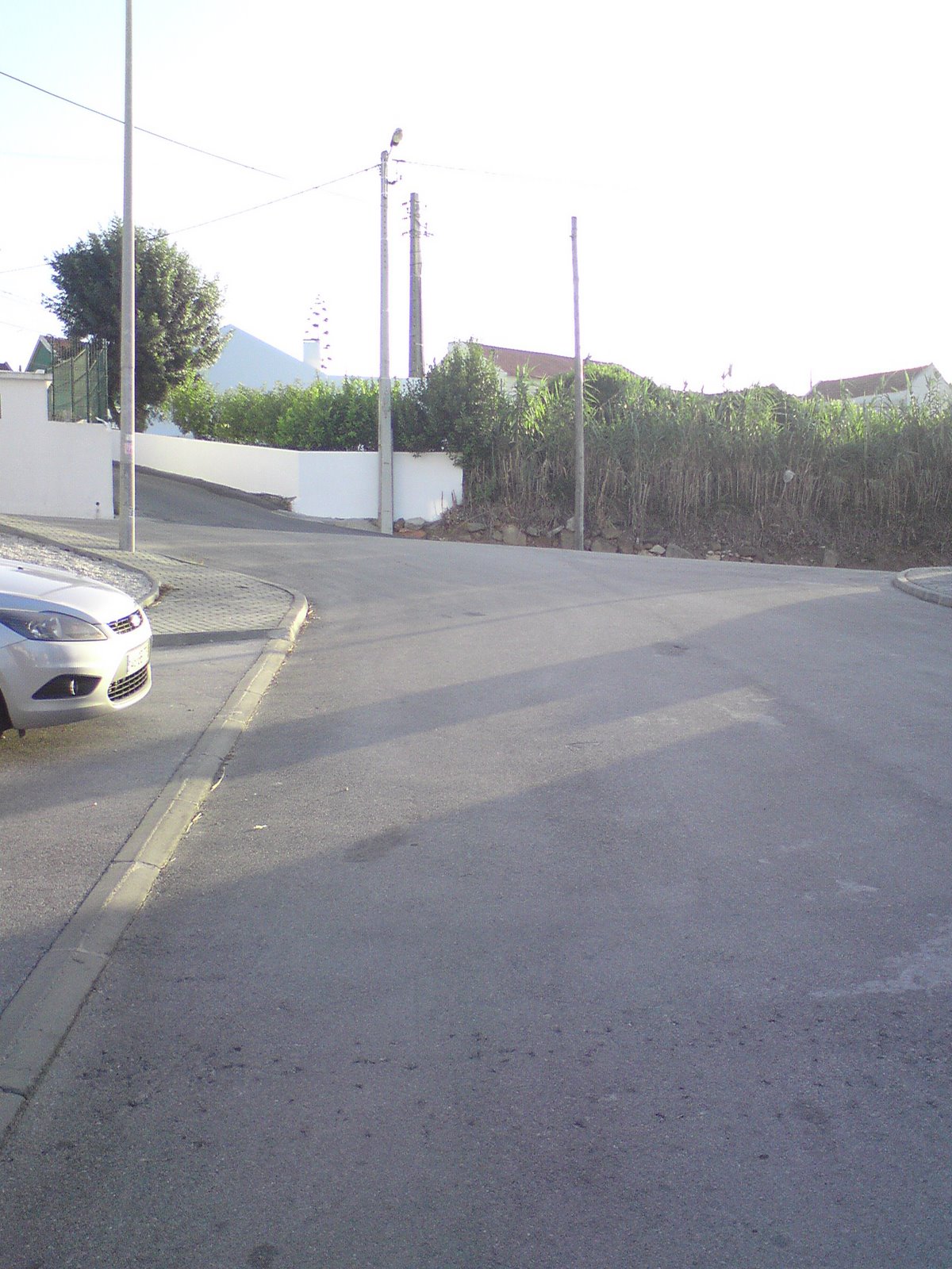 [DSC01256.JPG]