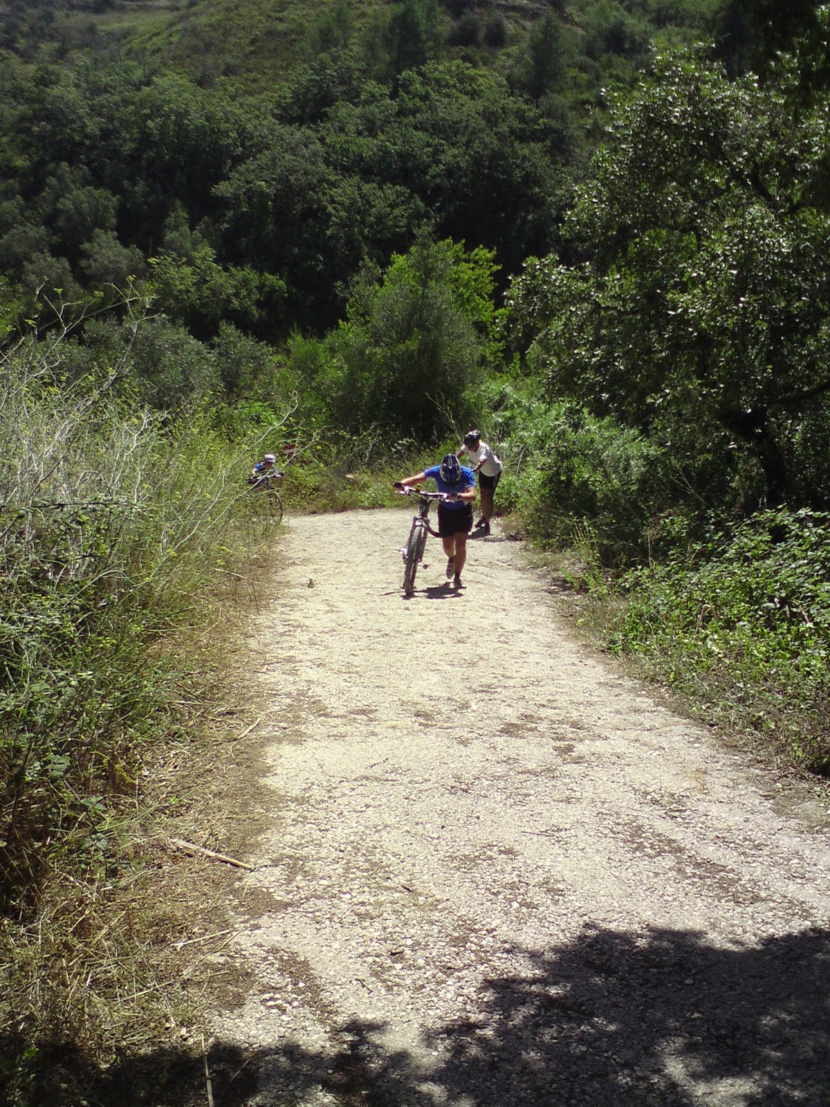 [DSC01288.JPG]