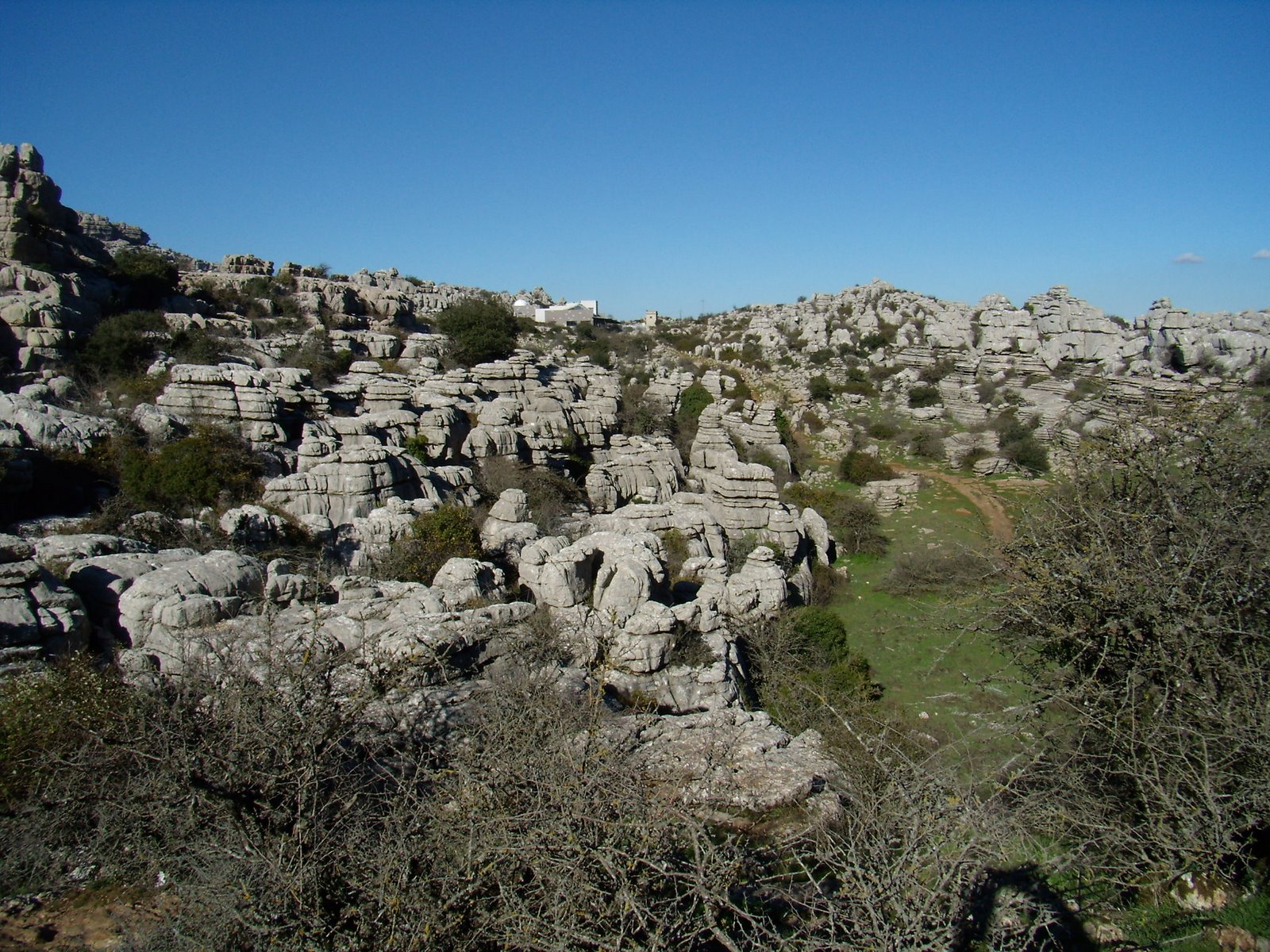 [P3250147.JPG]