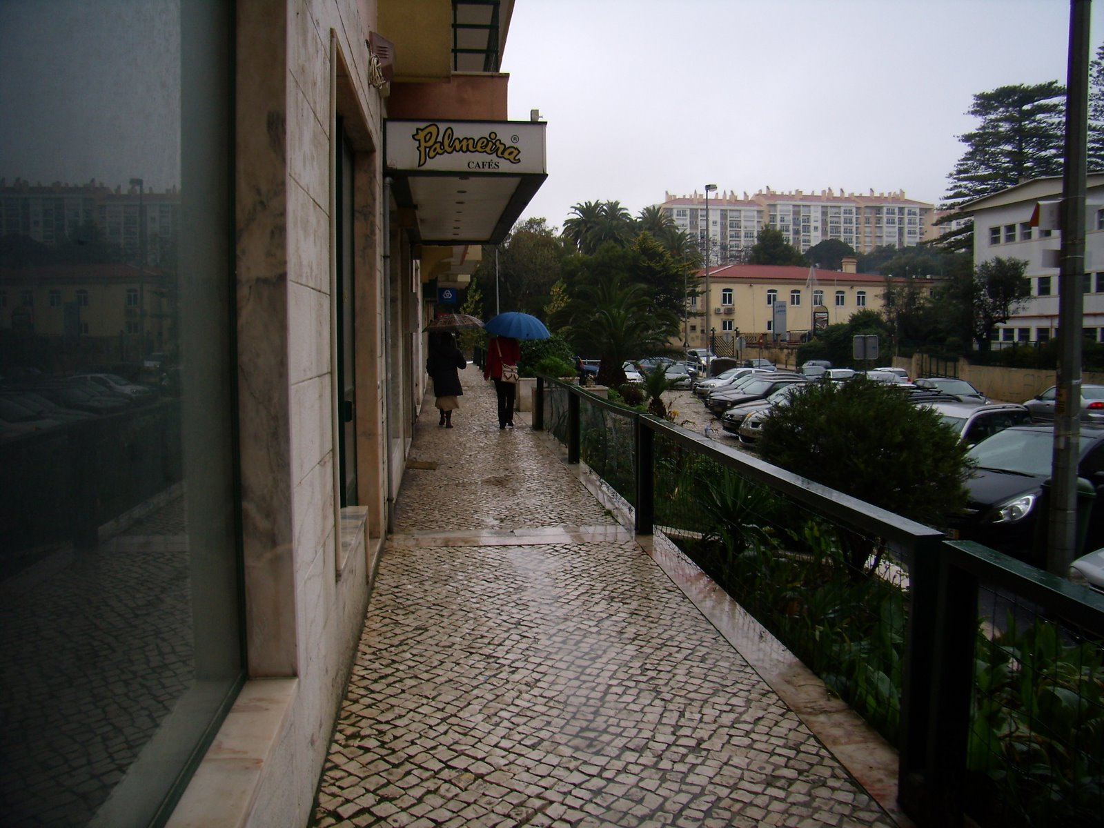 [PC310001.JPG]