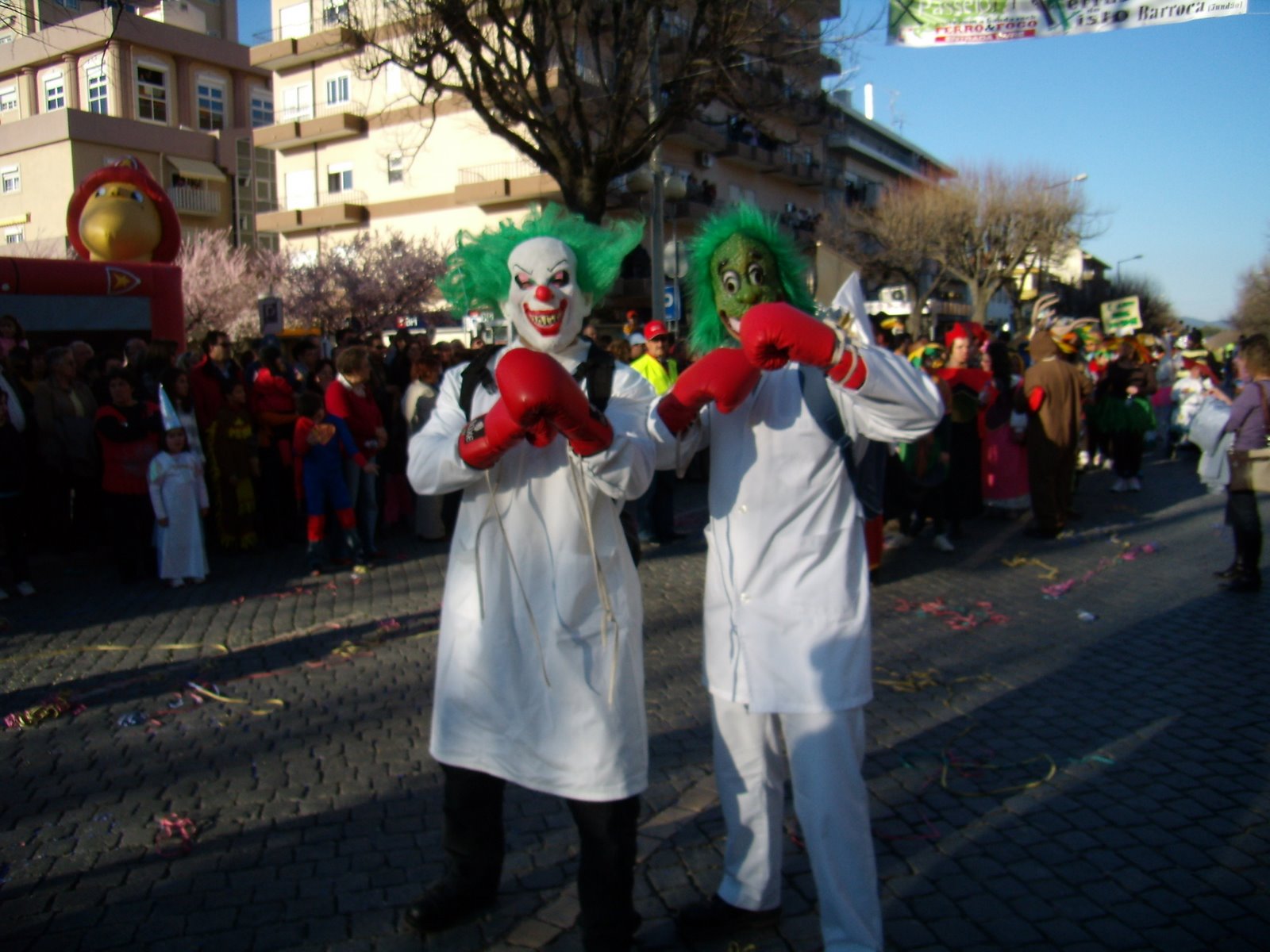 [P2240187.JPG]