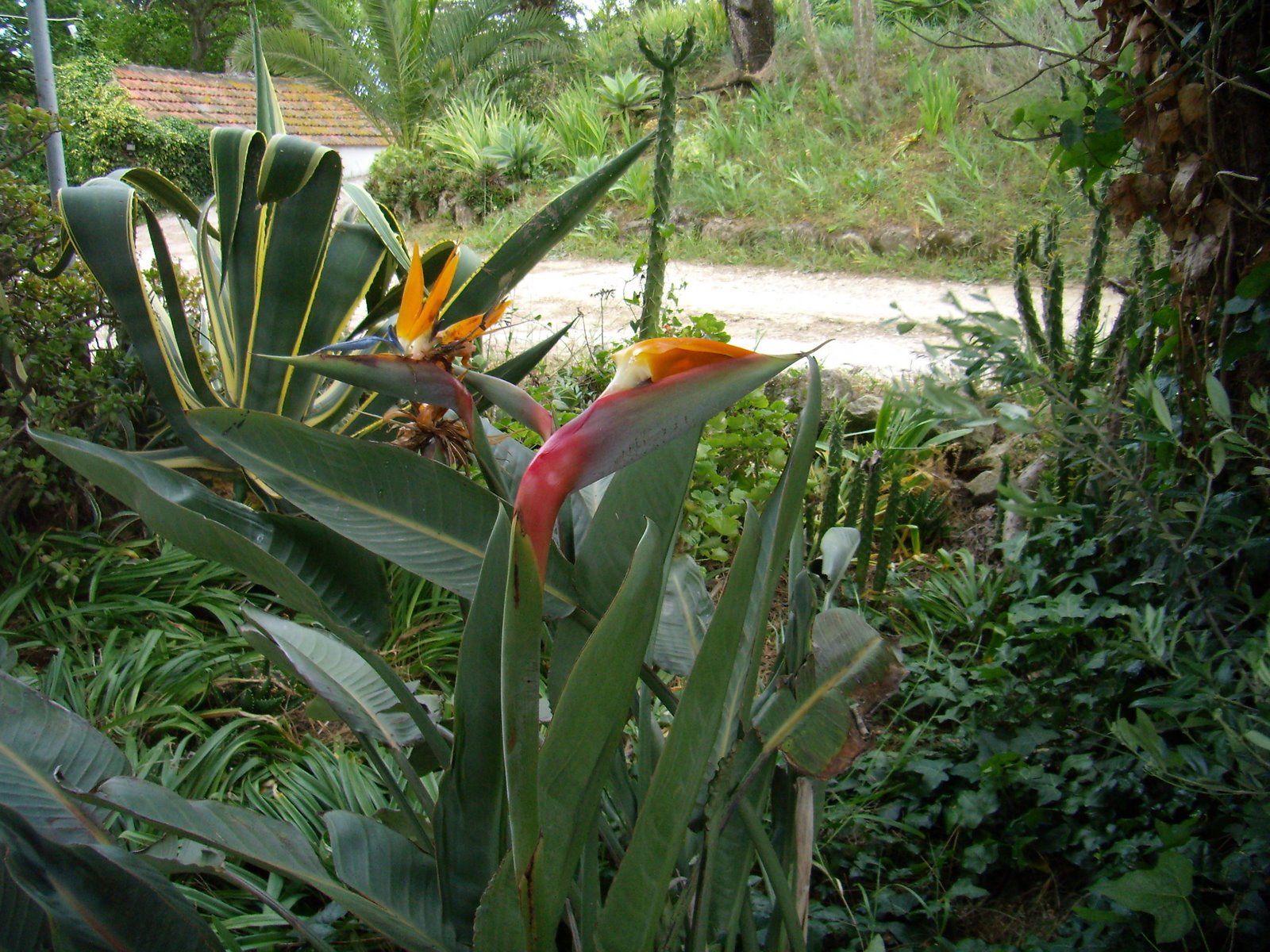 [P4250057.JPG]