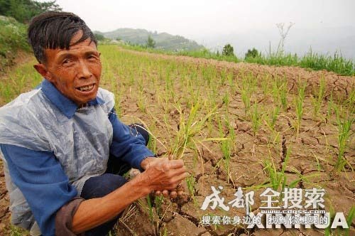 [主人+我要加油++我要努力++我要为你成长.php]