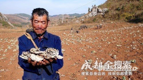 [爷爷++我舍不得你们+真的.php]