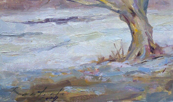 [301_old_tree_small.jpg]