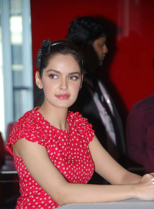 shazahn padamsee new from event actress pics