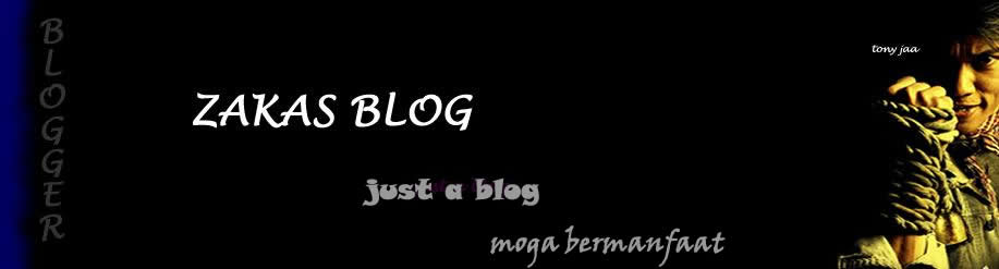 Zakas blog