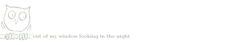 out of my window looking in the night