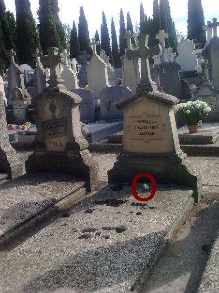 ALGUIEN HA DEJADO UN CRISANTEMO SOBRE MI TUMBA...