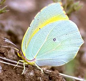 site rencontre you interested