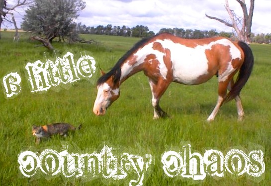 A Little Country Chaos