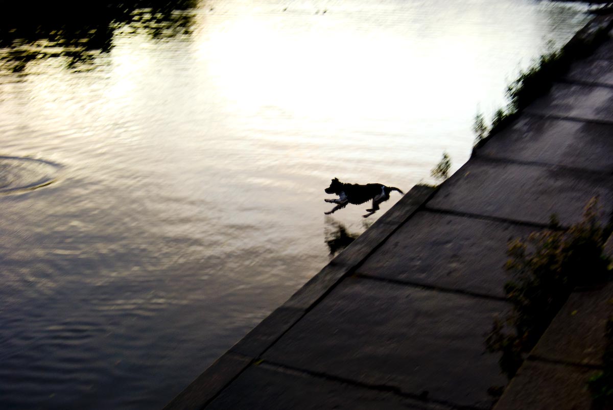 [_DSC0152.jpg]