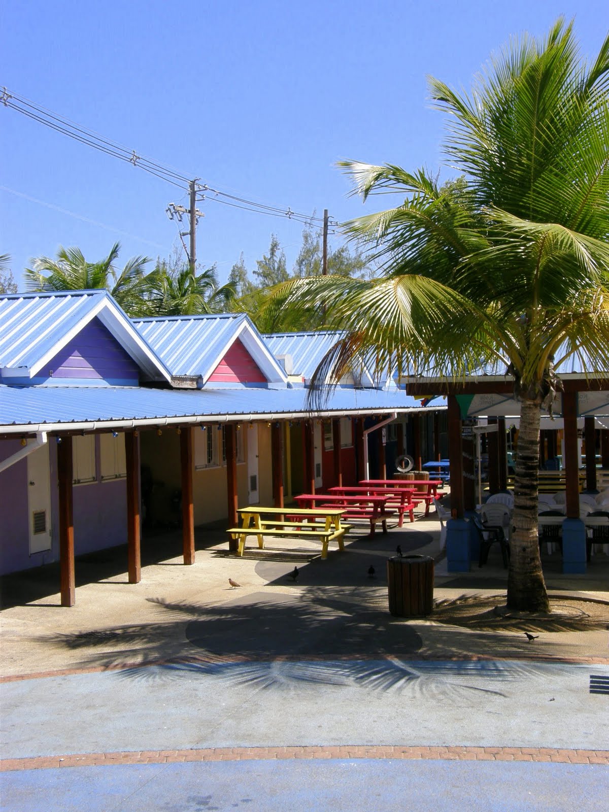 A Bajan Tour Girl Exploring Barbados The Barbados Flying Fish. The