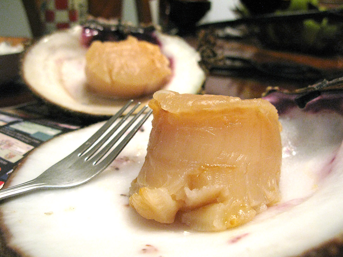 worlds biggest scallop