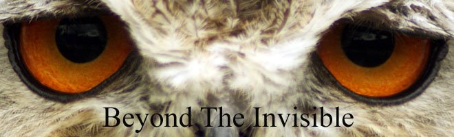 Beyond The Invisible
