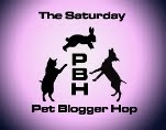 Blog Hop Saturday