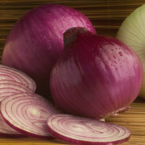 [cebolla-morada.jpg]