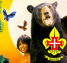 CNE- Agrupamento 941-Asseiceira,Tomar