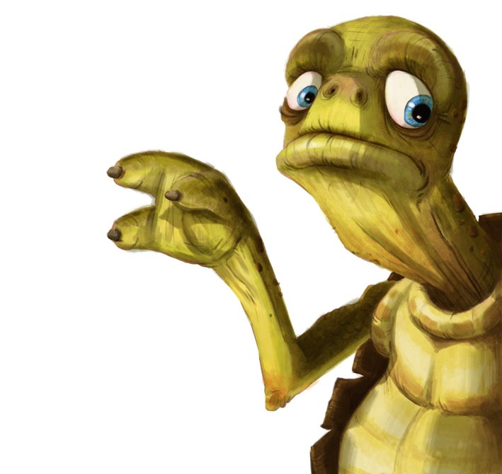 [tortuga+web.jpg]