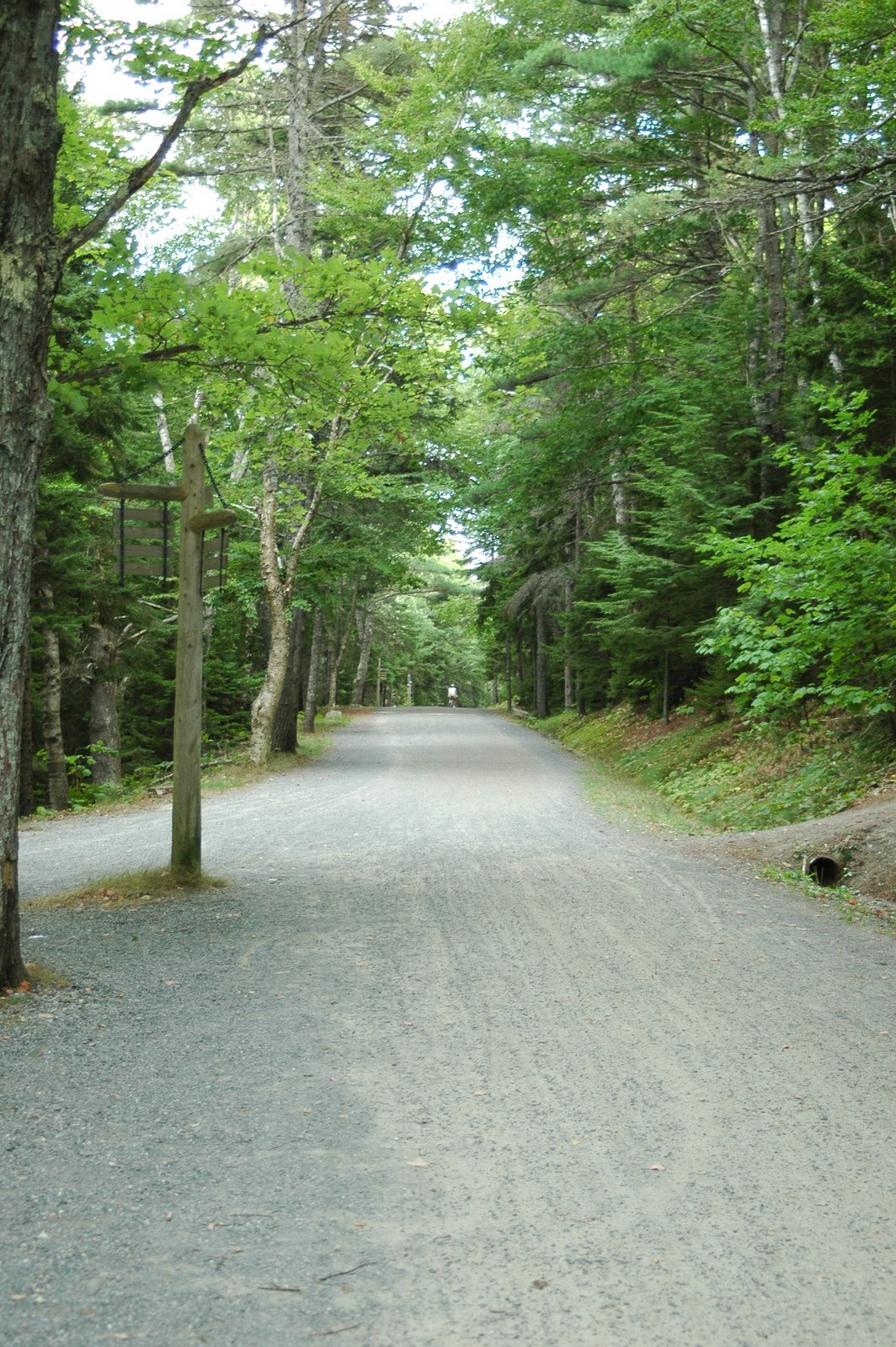 [DSC_0232.JPG]