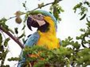 Guía de Viajes y Turismo de Ecuador Refugio de Vida Silvestre El Zarza