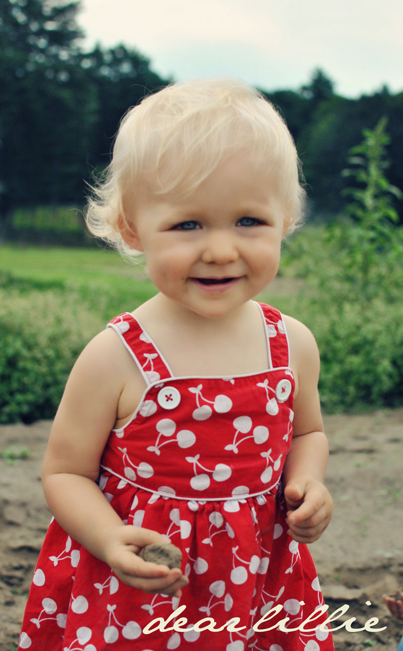 Dear Lillie My Little Farm Girl