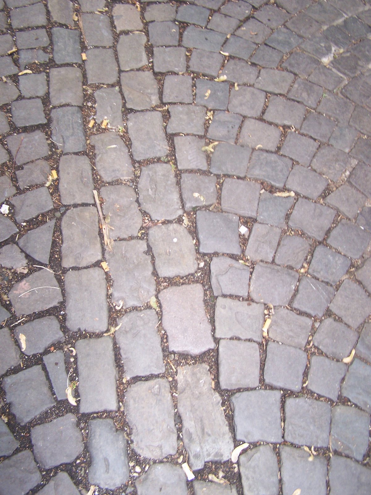 [cobblestone+streets.JPG]