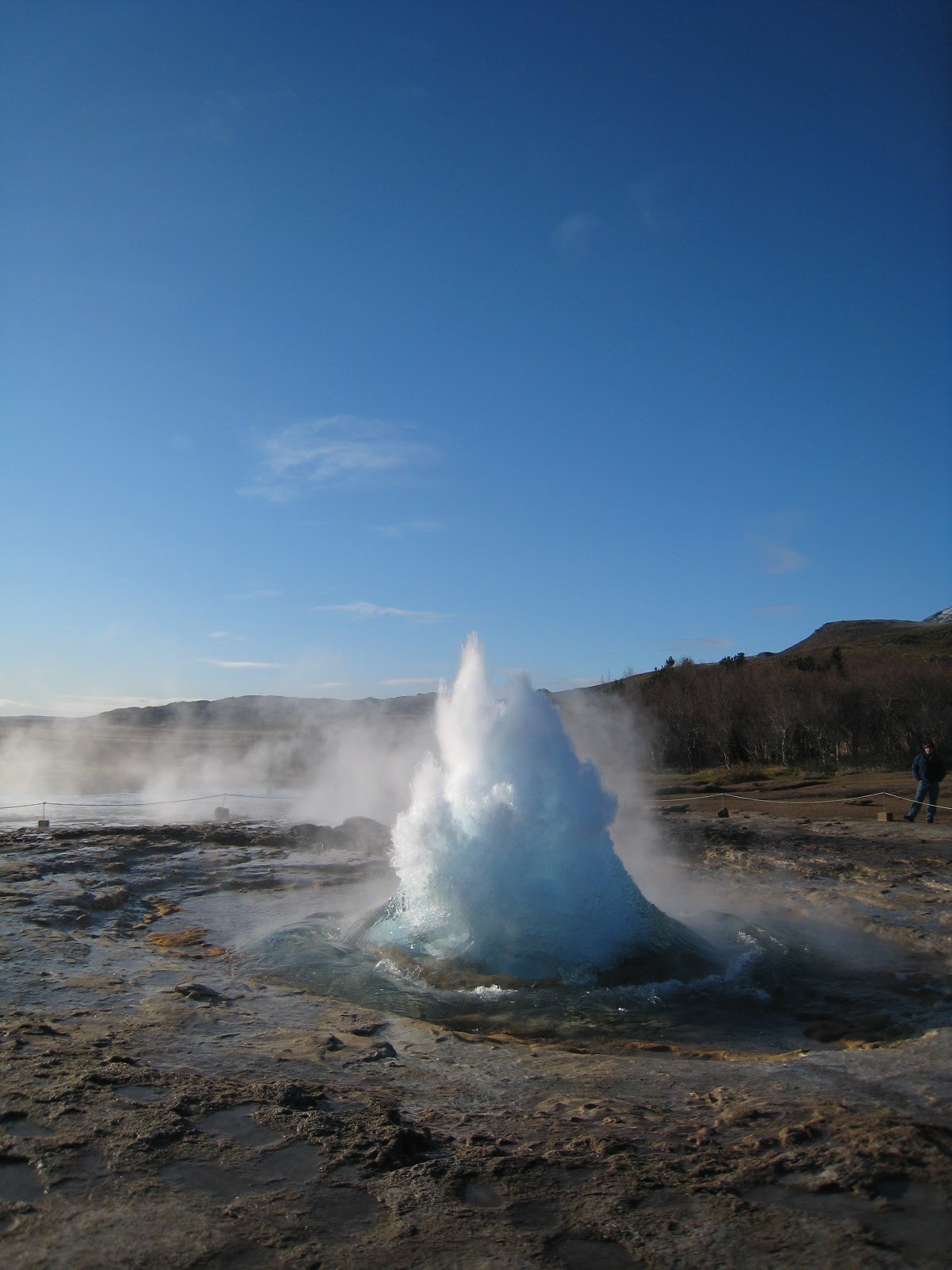 [IMG_7362.JPG]
