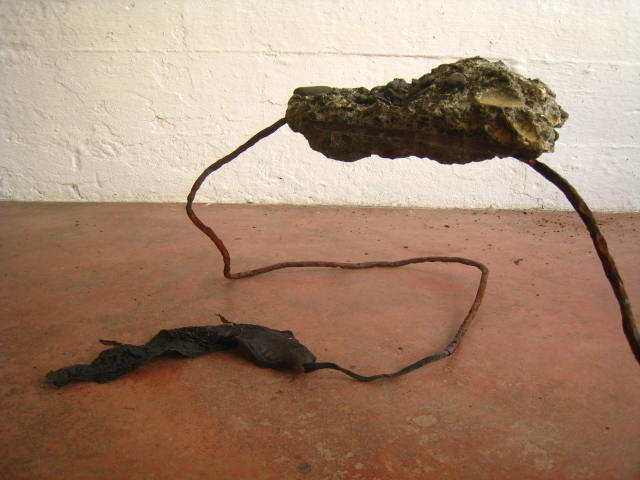 [IMG_7616.JPG]